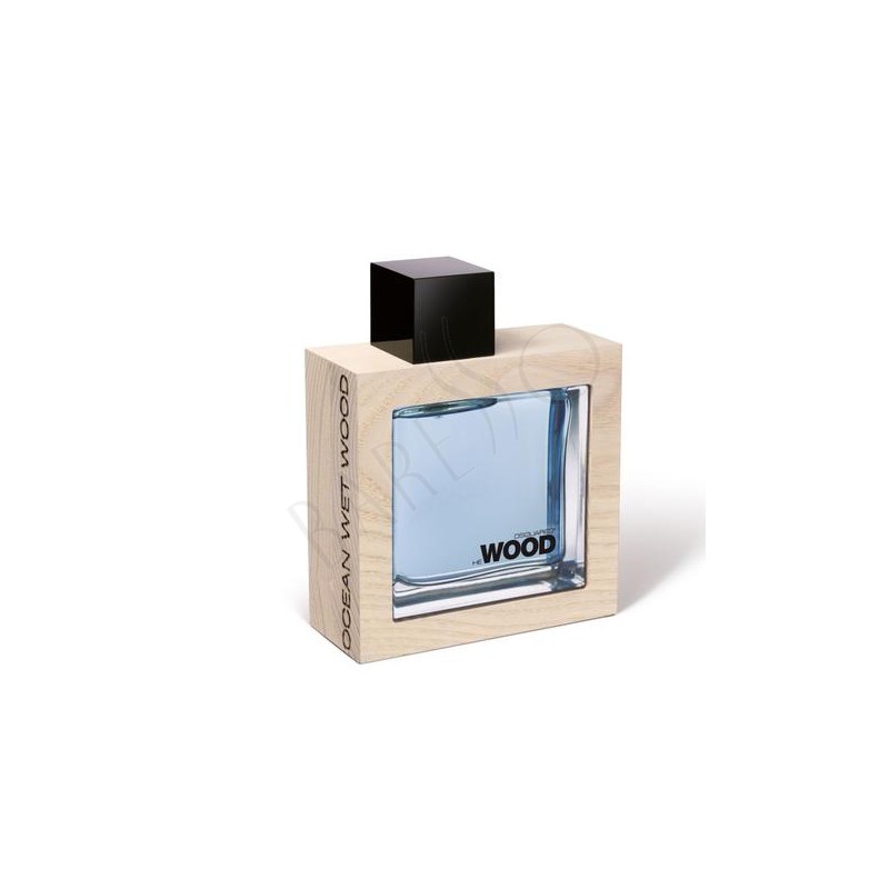 Dsquared2 HEWOOD Ocean Wet Wood edt 100ml