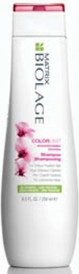 Matrix Biolage ColorLast Shampoo 250ml