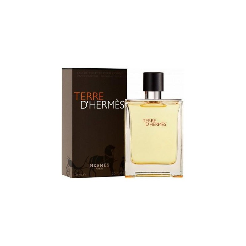 Terre D'hermes by Hermes 100 ml Edt