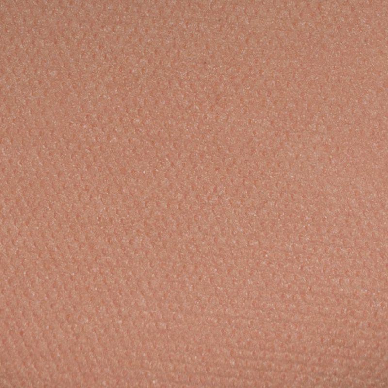 IsaDora Perfect Blush 01 Warm Nude