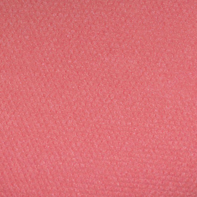 IsaDora Perfect Blush 05 Coral Pink