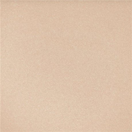 Isadora Single Power Eyeshadow Bare Beige 01